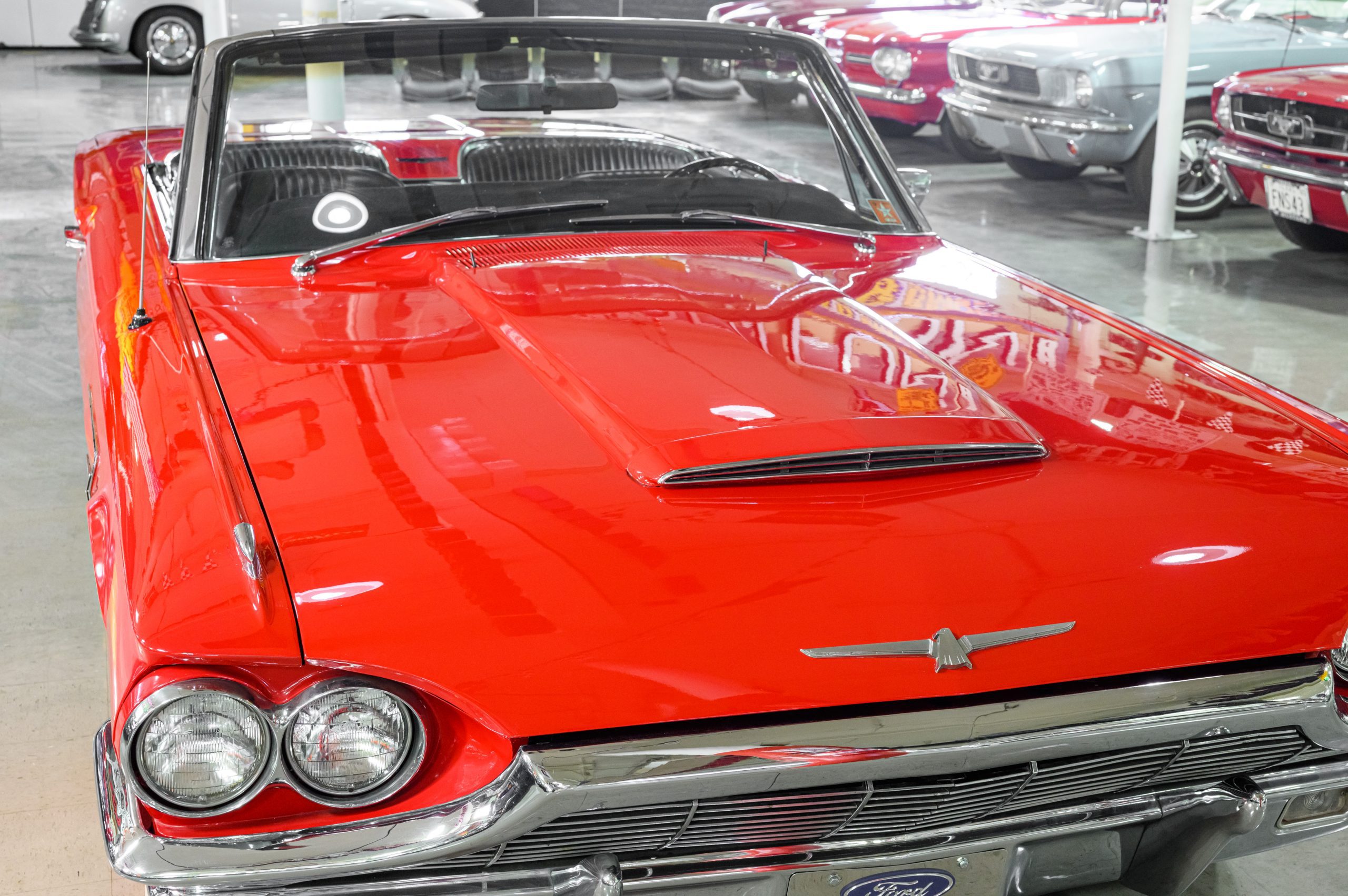 AR_CareyNelson_Classic Promenade_019