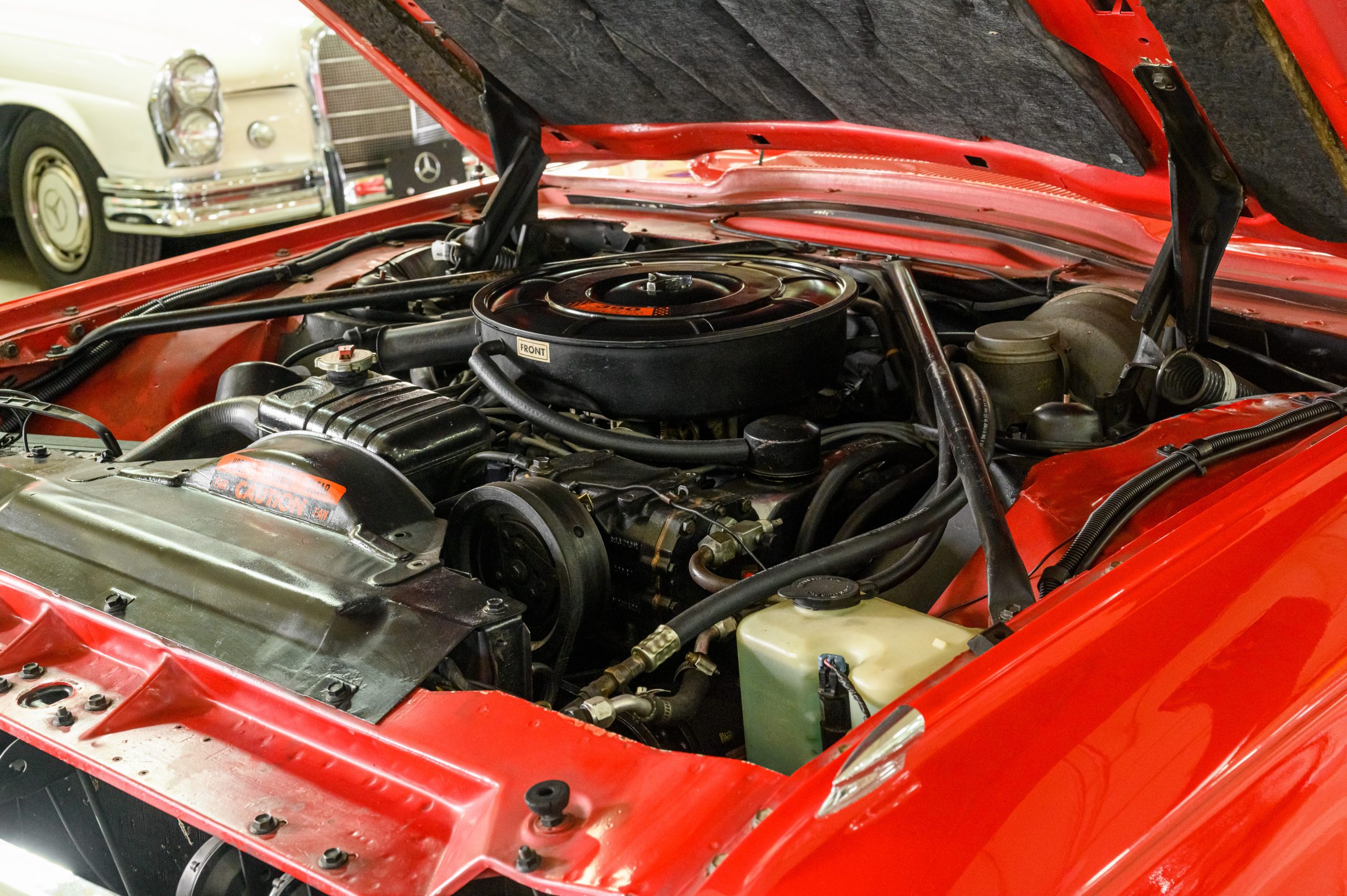 AR_CareyNelson_Classic Promenade_056