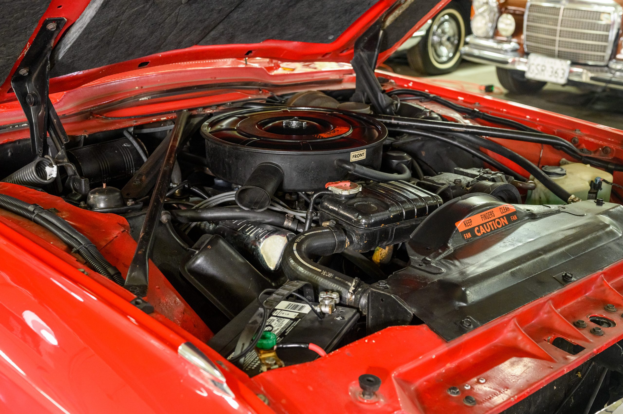 AR_CareyNelson_Classic Promenade_057