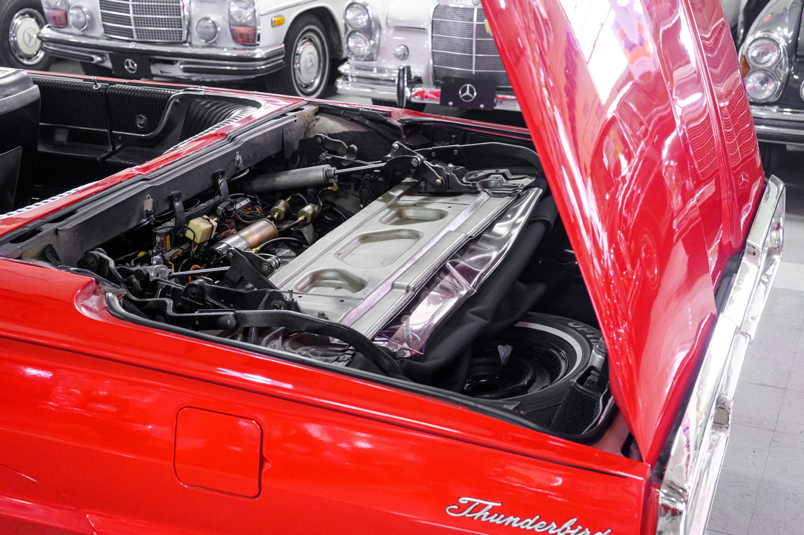 AR_CareyNelson_Classic Promenade_062