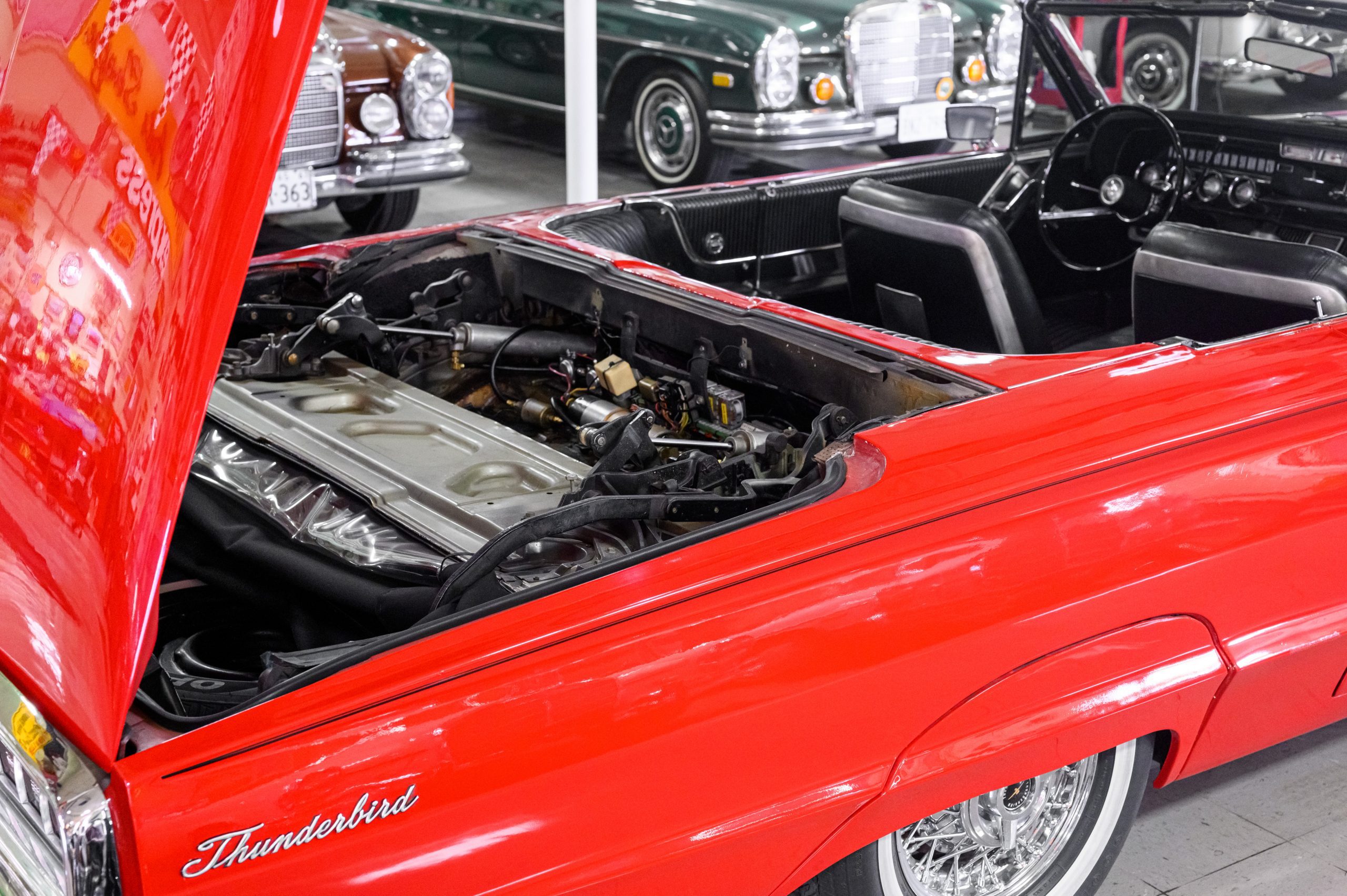 AR_CareyNelson_Classic Promenade_063