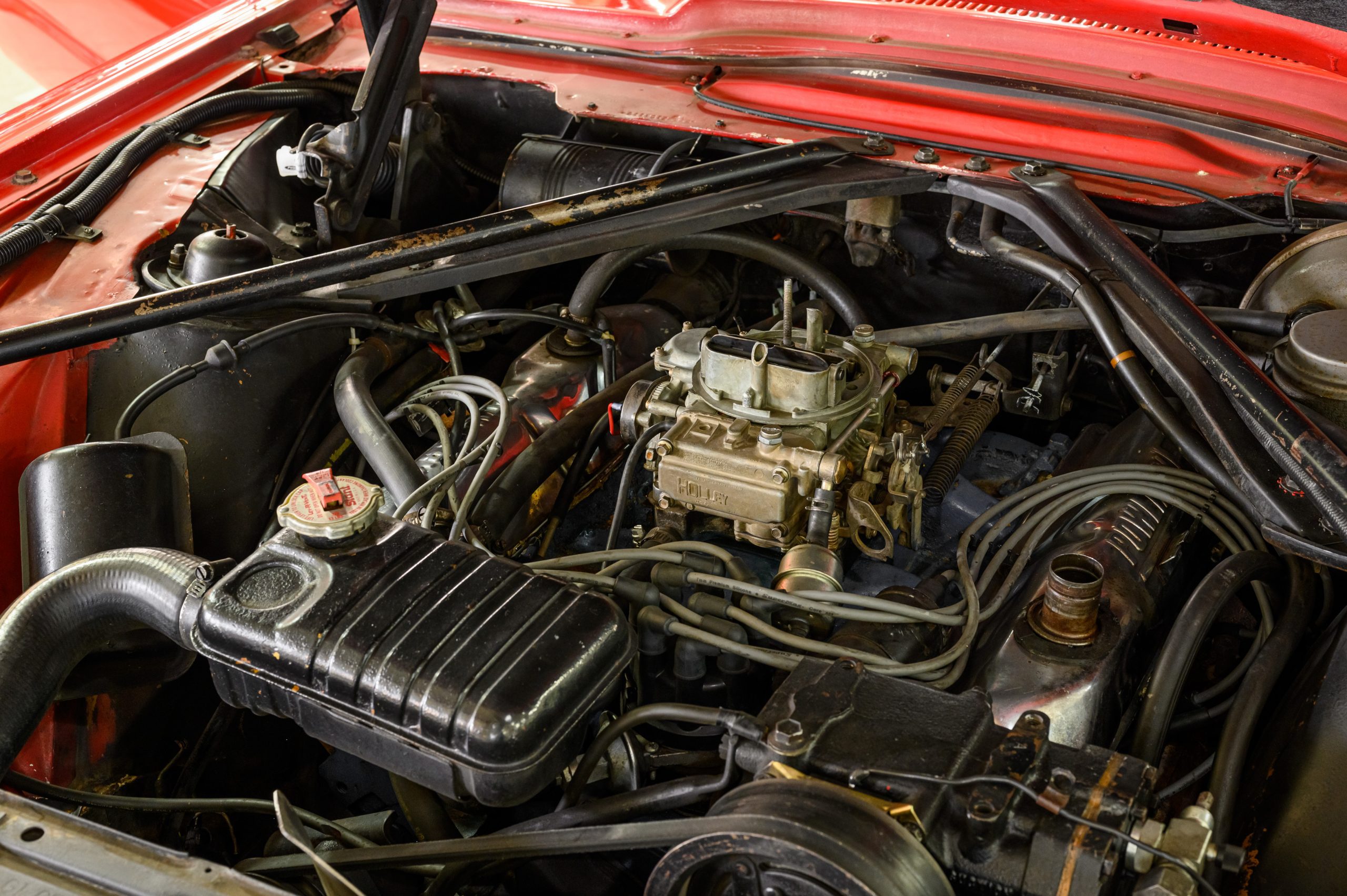 AR_CareyNelson_Classic Promenade_078