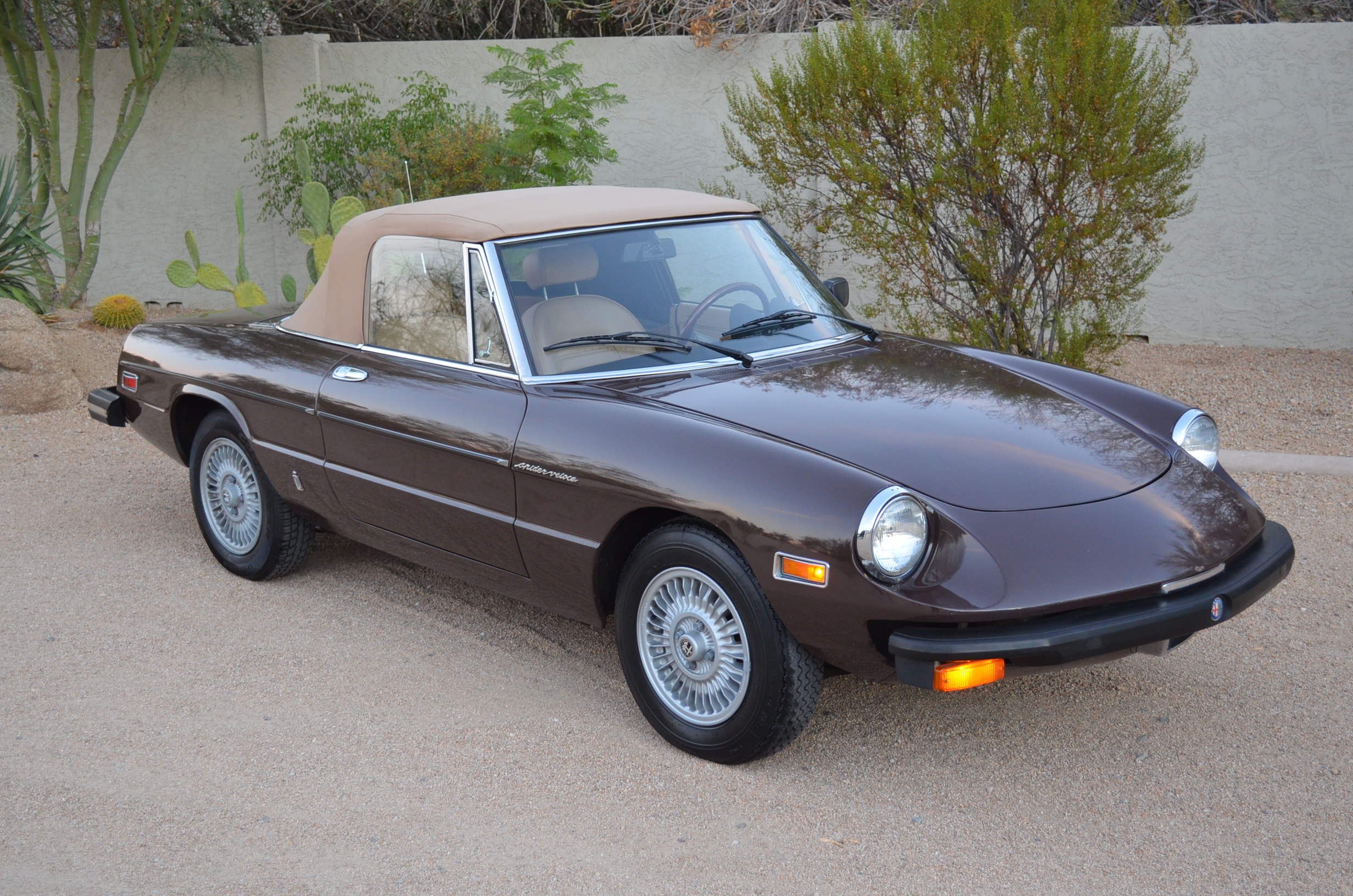 1979 Alfa Romeo Spider Veloce, 33k Miles, Two Owners,Spectacular!!