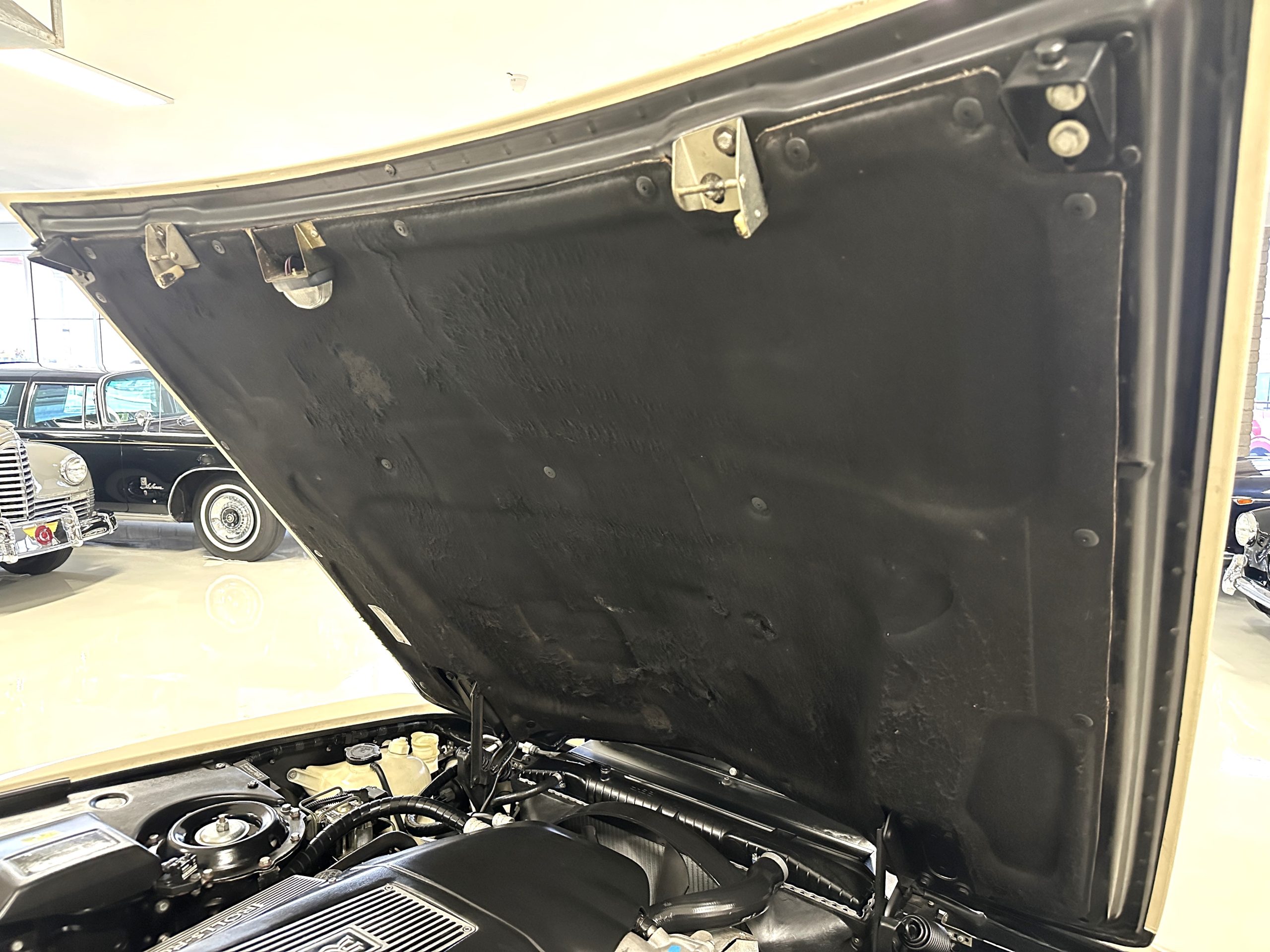 20230320 224313199 iOS 20230320 224313199 iOS