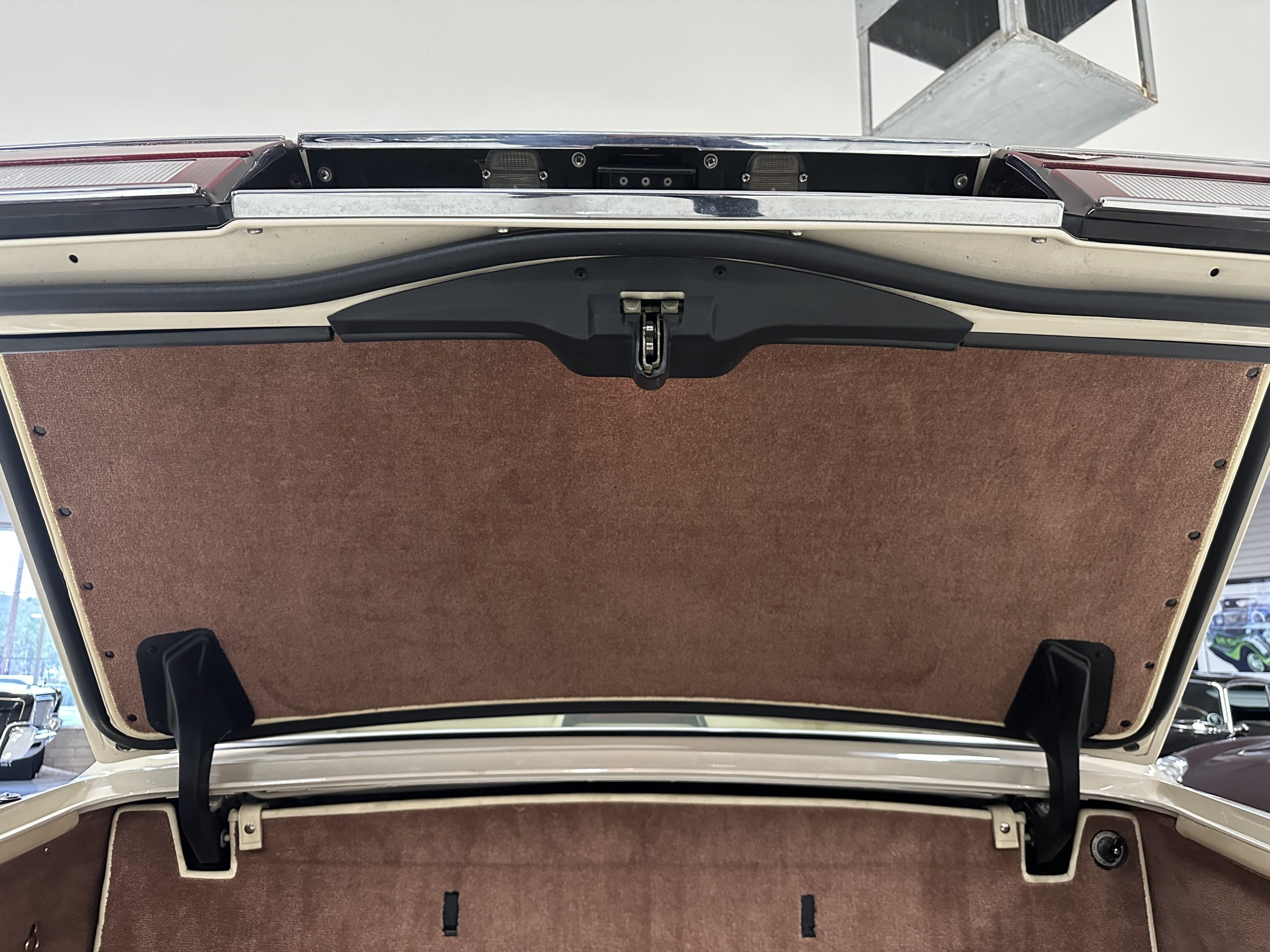 20230320 224549595 iOS 20230320 224549595 iOS