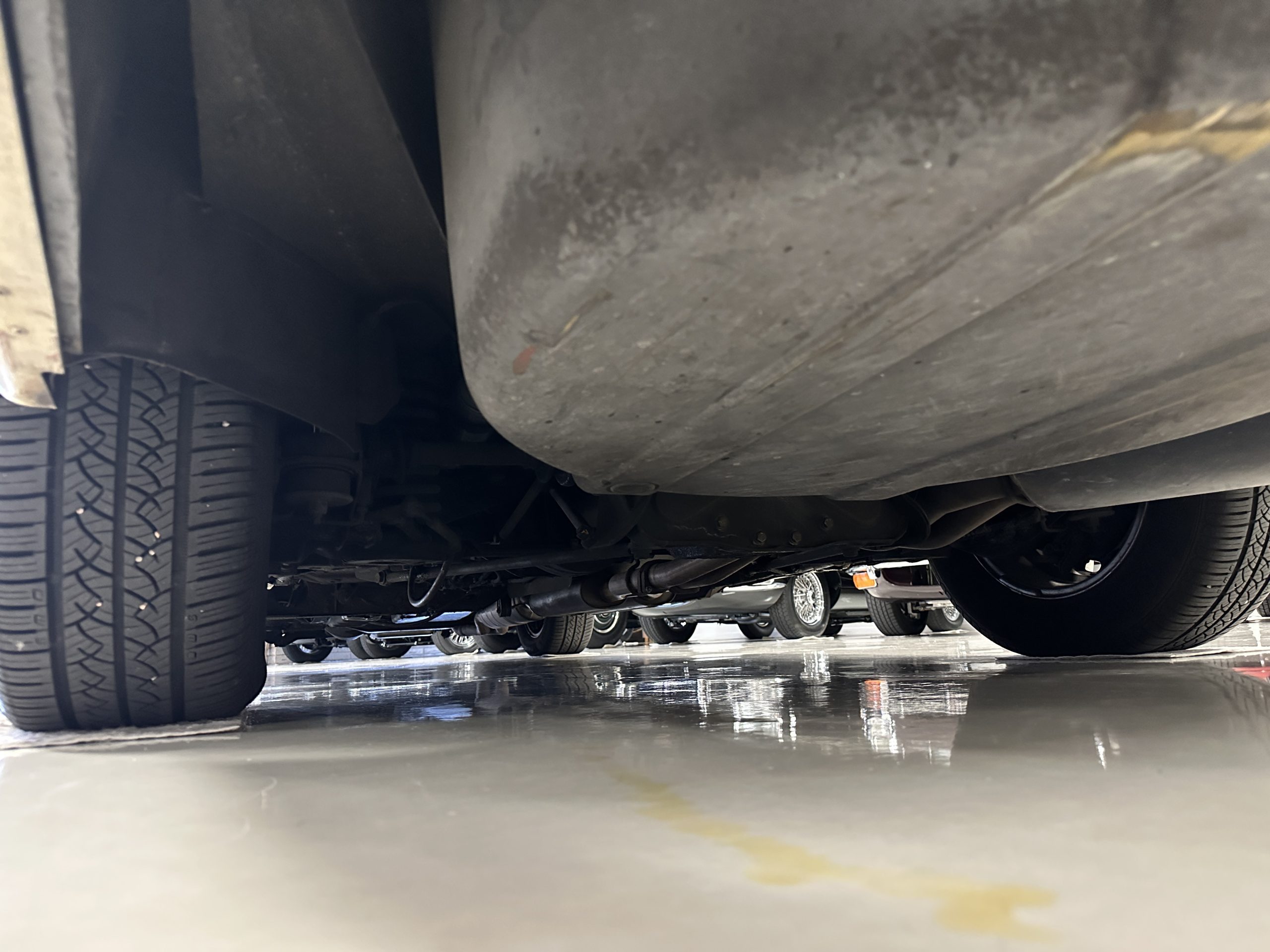 20230320 224853147 iOS 20230320 224853147 iOS