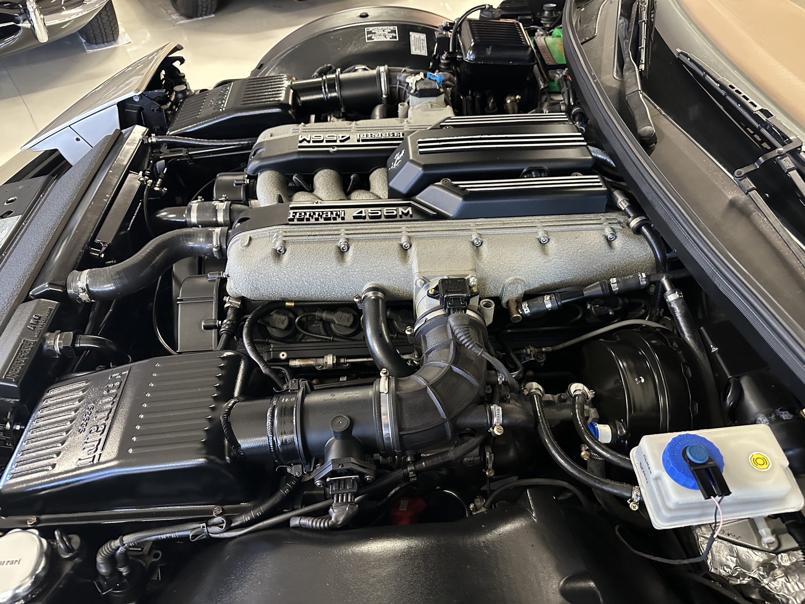 20230118 204422421 iOS 20230118 204422421 iOS