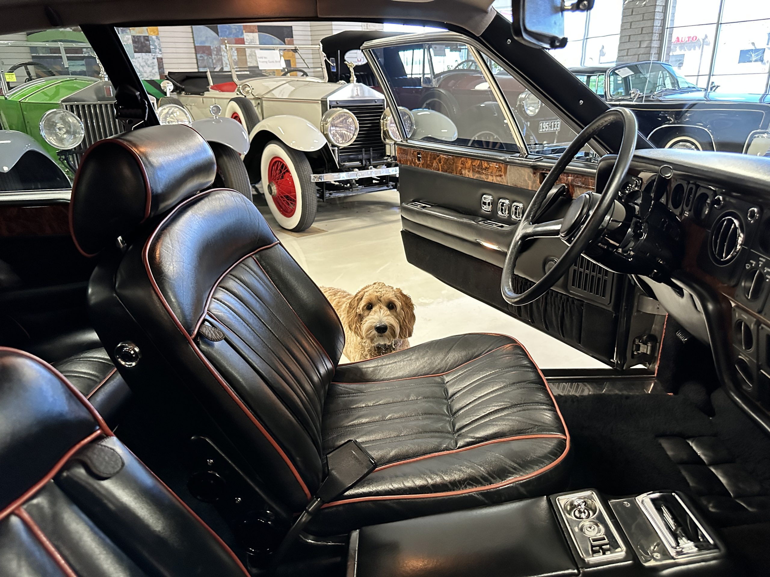 20230929 182252194 iOS 20230929 182252194 iOS