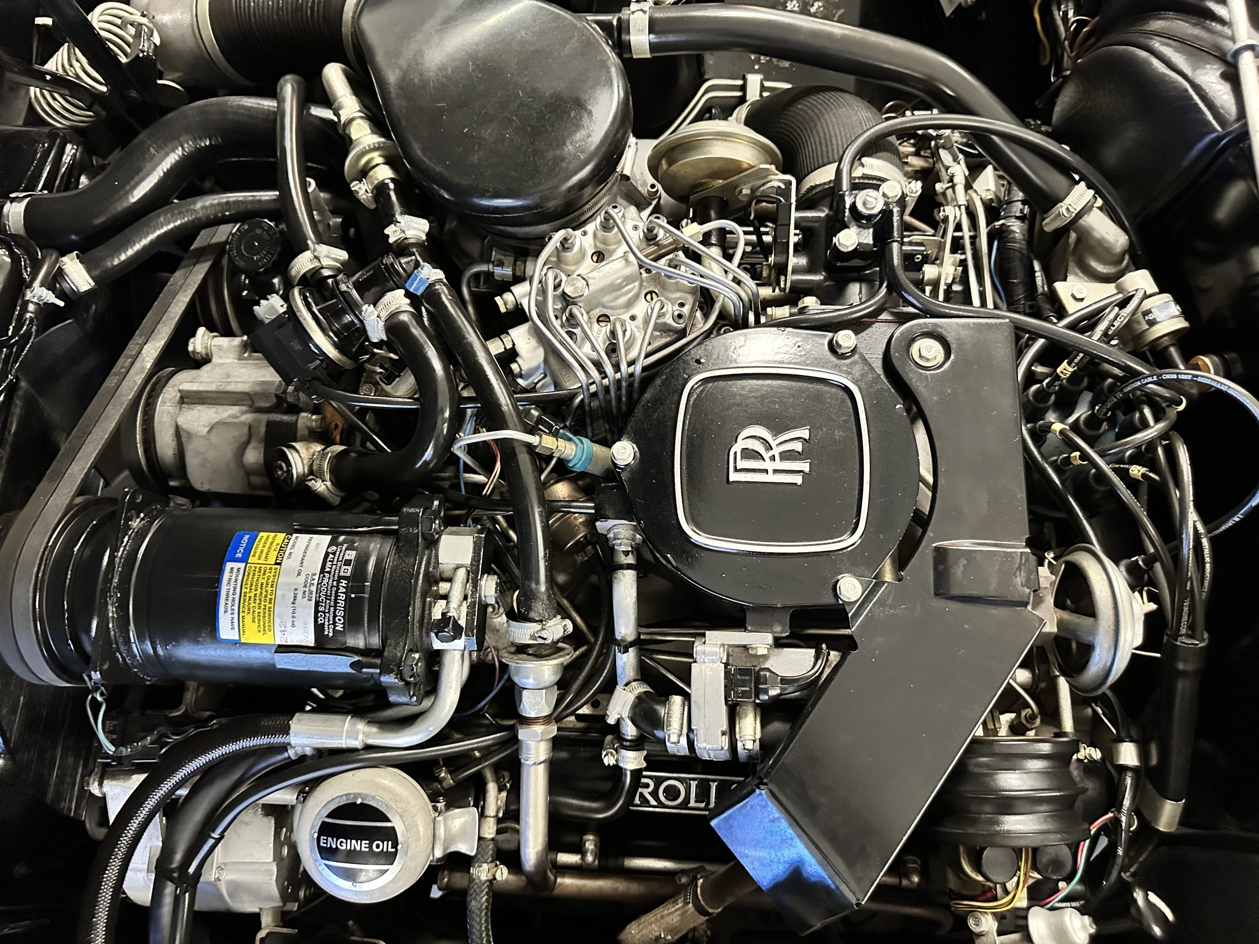 20230929 182559127 iOS 20230929 182559127 iOS