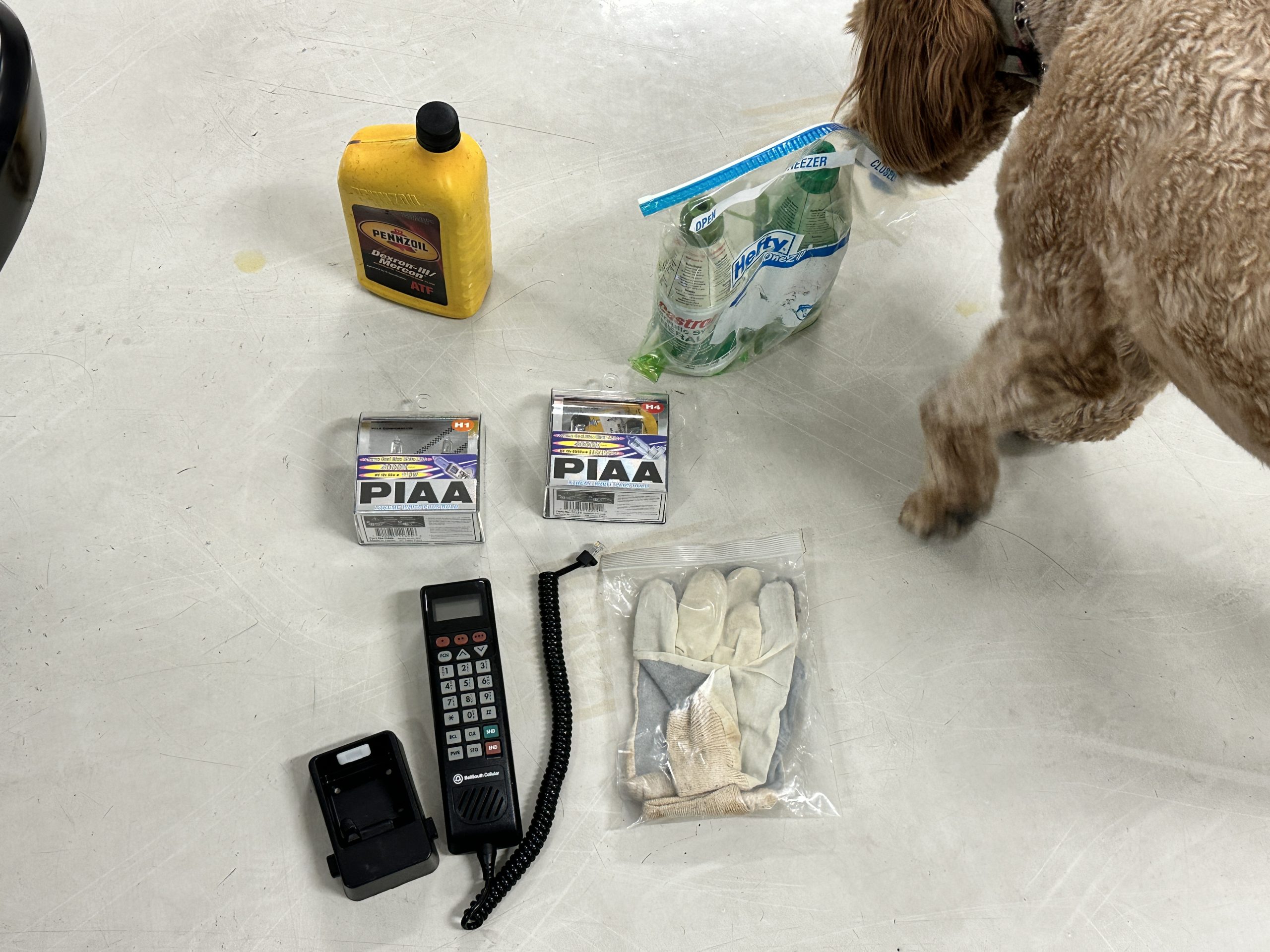 20230929 184340908 iOS 20230929 184340908 iOS