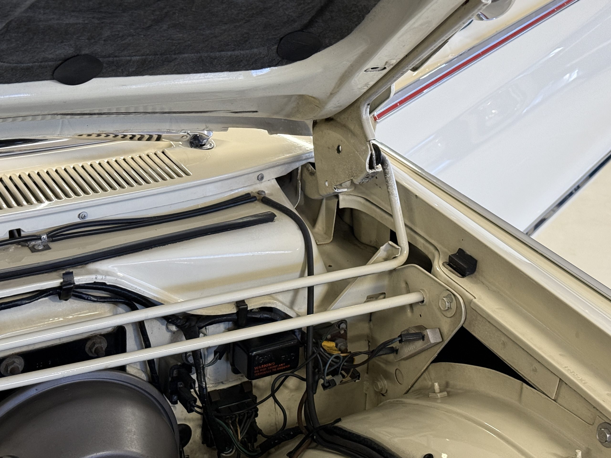 20250324 162956057 iOS 20250324 162956057 iOS